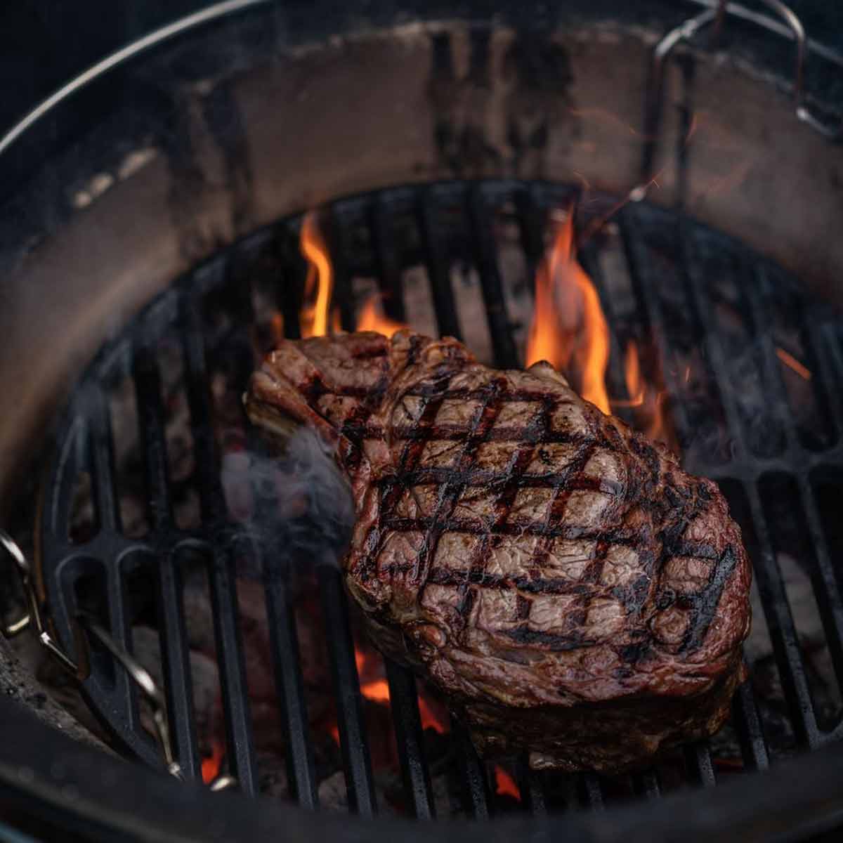 Nærbilde av hengslet mekanisme på 2-delt ristforhøyning Large - Big Green Egg