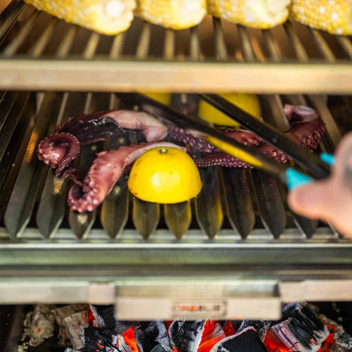 Argentinsk parrilla grillrist rustfritt stål - Charlie Oven forfra
