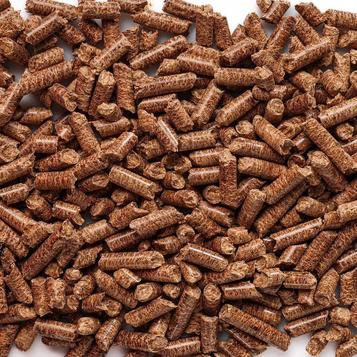 Brisket Blend hardtrepellets Limited Edition - Traeger nærbilde pellets