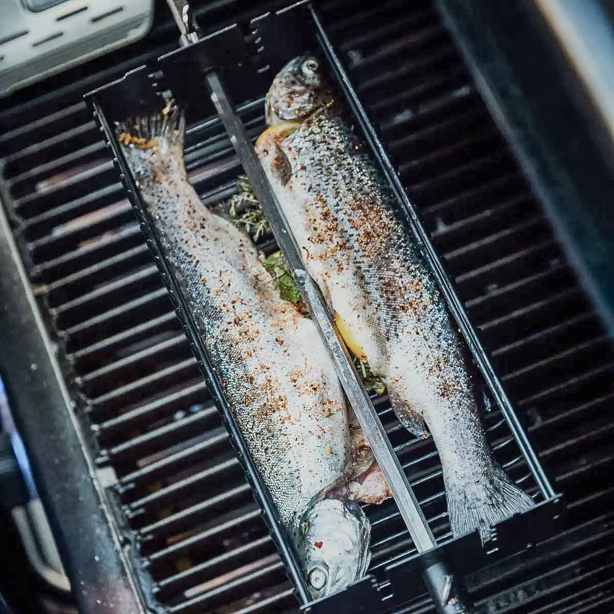 Dreiespidd-kurv sett for rotisserie grillkurv firkantet - SANTOS montert på grill