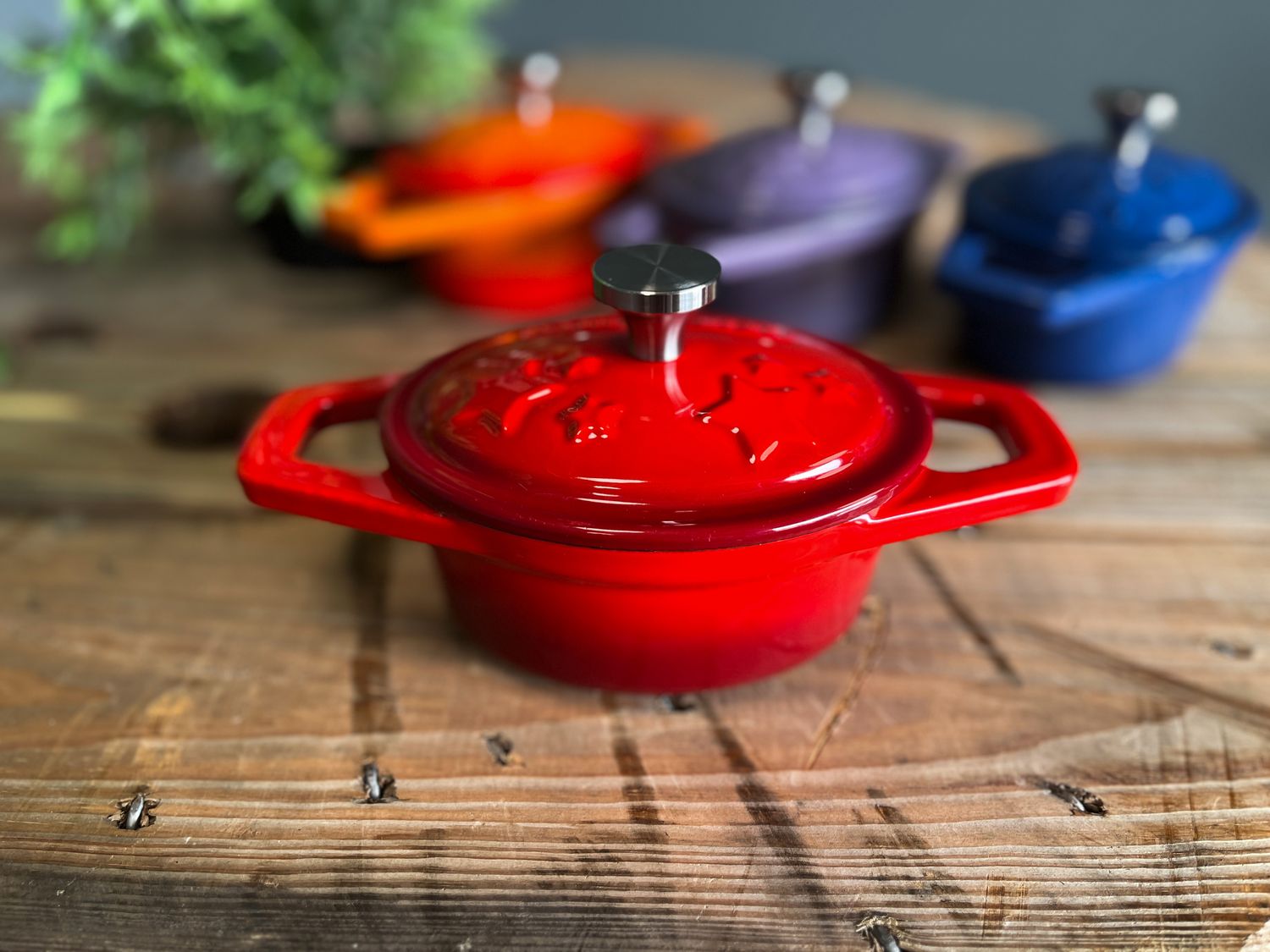 Detalj av lokk med stjerneemaljering på Dutch oven emaljert støpejern XS 0,35 l rød - Grillfürst