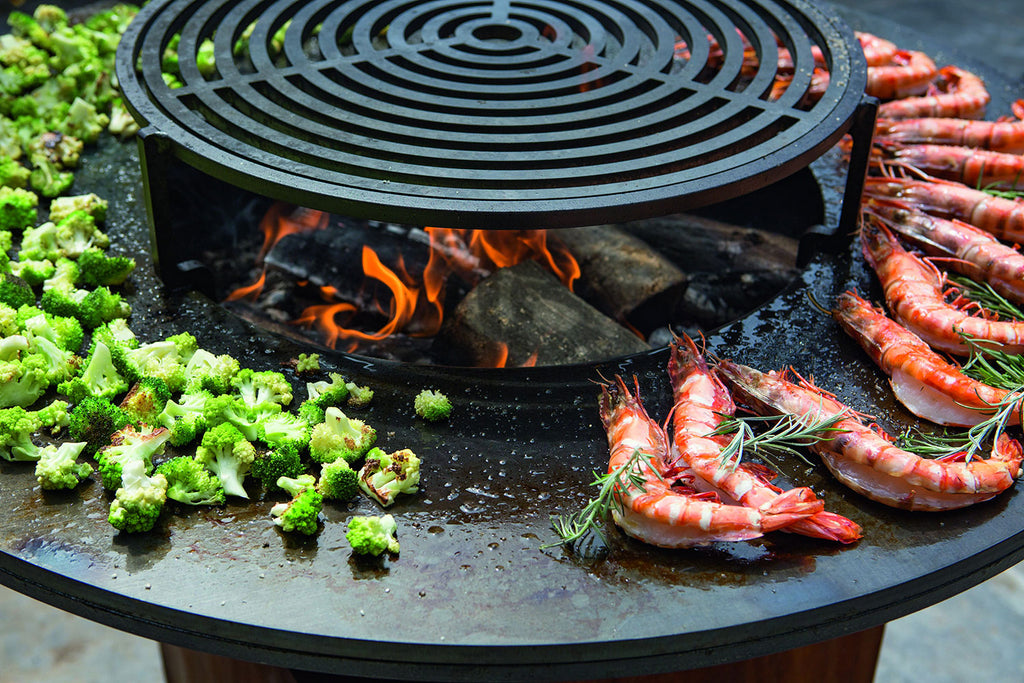 Oversiktsbilde av Feuerplatte Classic Black 100 i hage