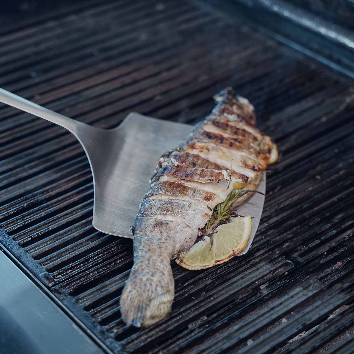 Fiskespade rustfritt stål - SANTOS bakside