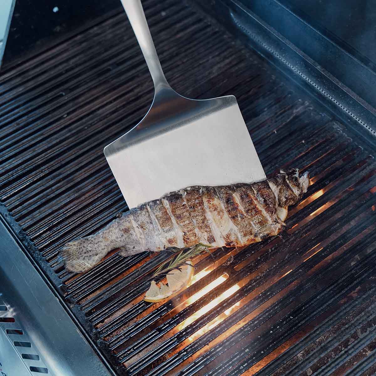 Fiskespade rustfritt stål - SANTOS montert