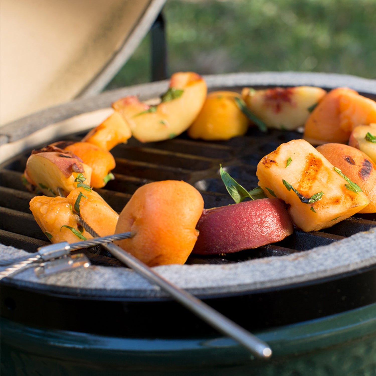 Detalj av fleksible grillspyd 68 cm rustfritt stål 2-pk Big Green Egg