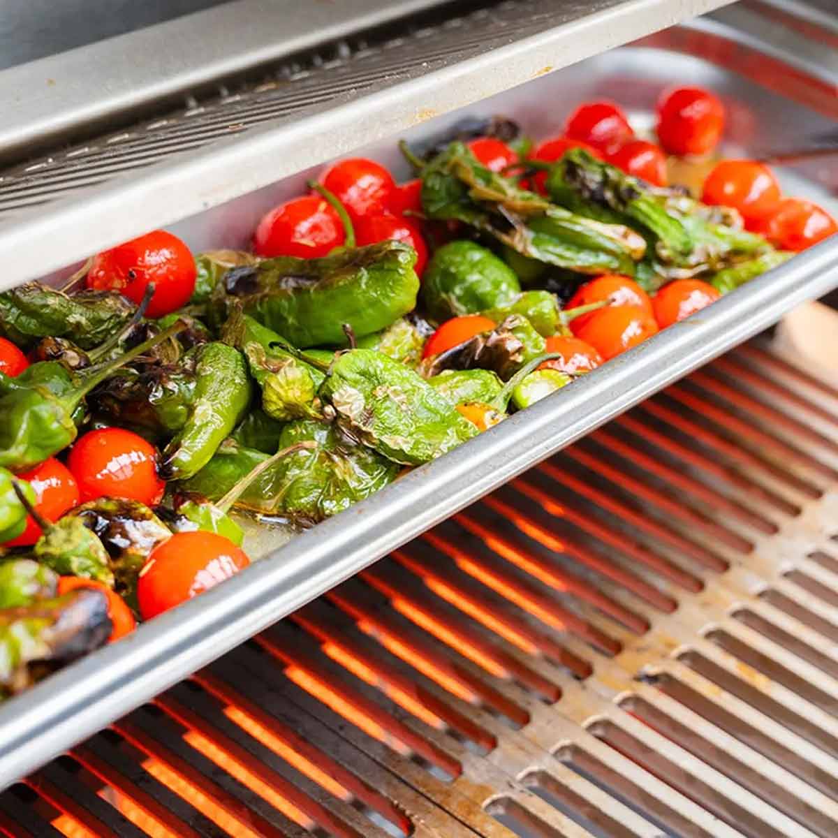 Sidebilde av Gassgrill Block Ds Gen. 5 med åpent lokk