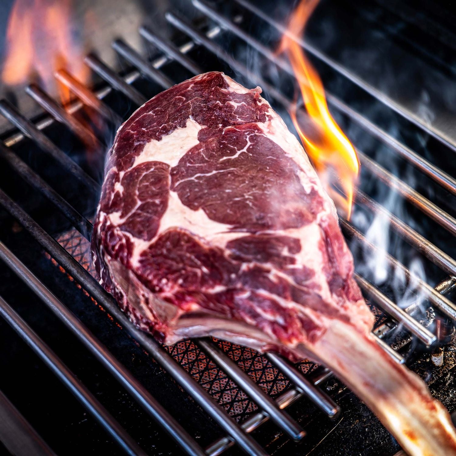 Nærbilde av rustfrie Dual Tube-brennere på Gassgrill Imperial QS 590 IR
