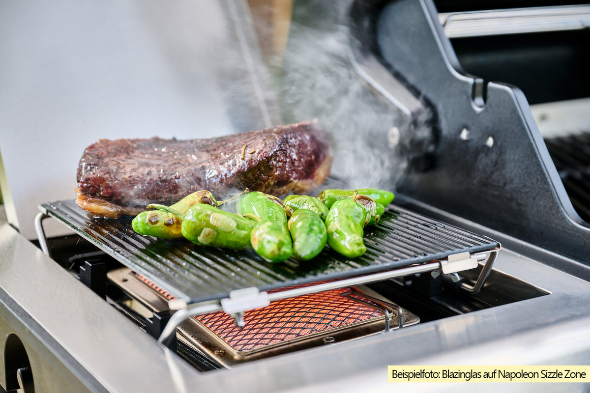 Montert rotisseri på Gassgrill Regal Q 490 IR Smart Grill iQue