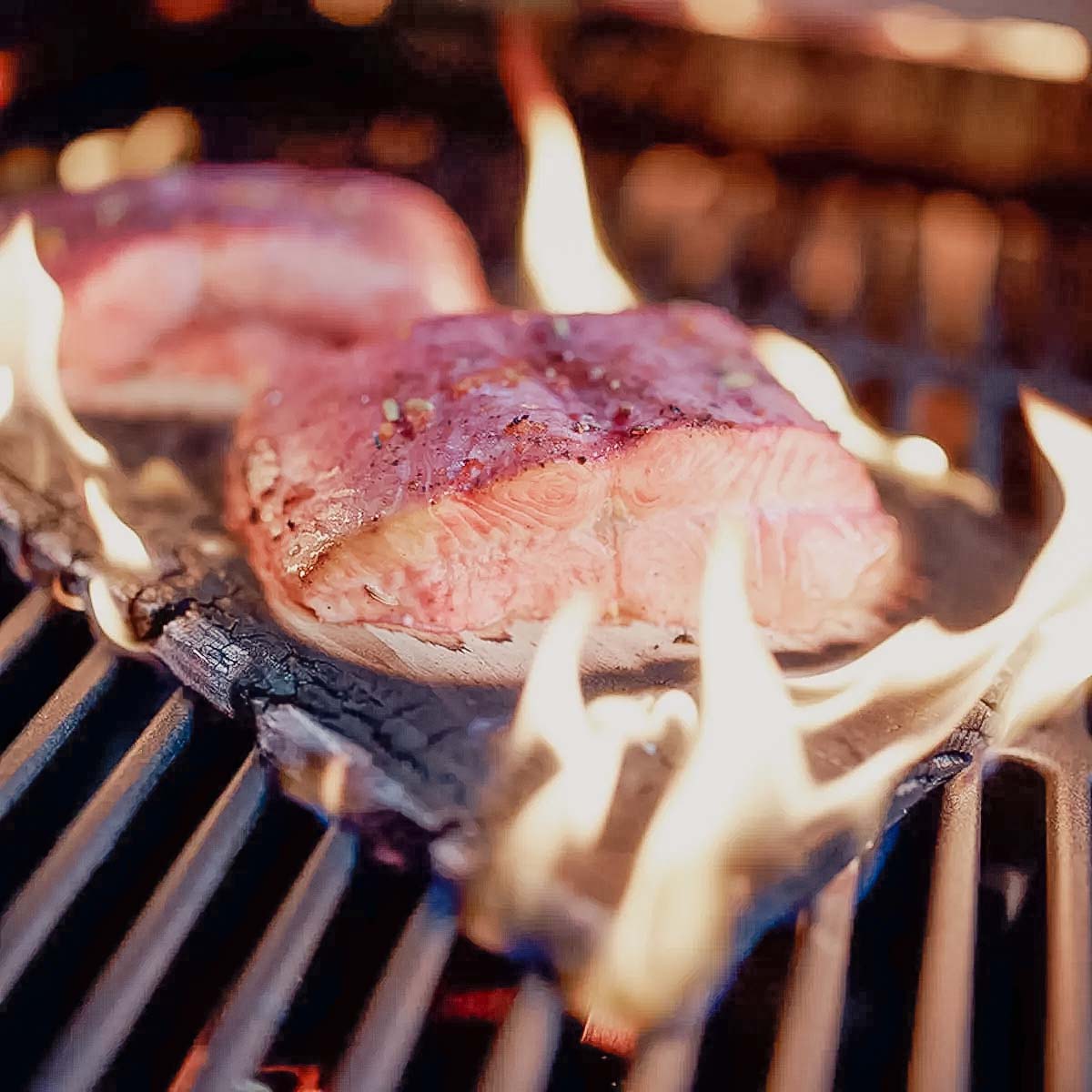 Detalj av grillplanke sedertre 30x15 cm - SANTOS