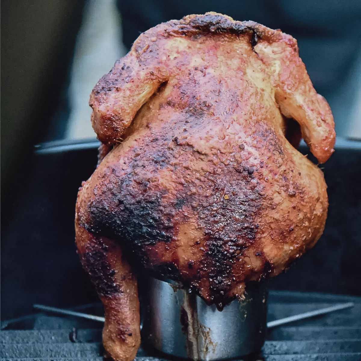 Kyllingholder og grønnsakskurv rustfritt stål 3-delt Ø 30 cm - SANTOS bakside