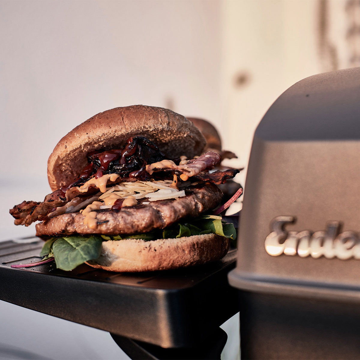 Portabel gassgrill Urban Pro 2 brennere aluminiumsstøp Enders pakket for oppbevaring
